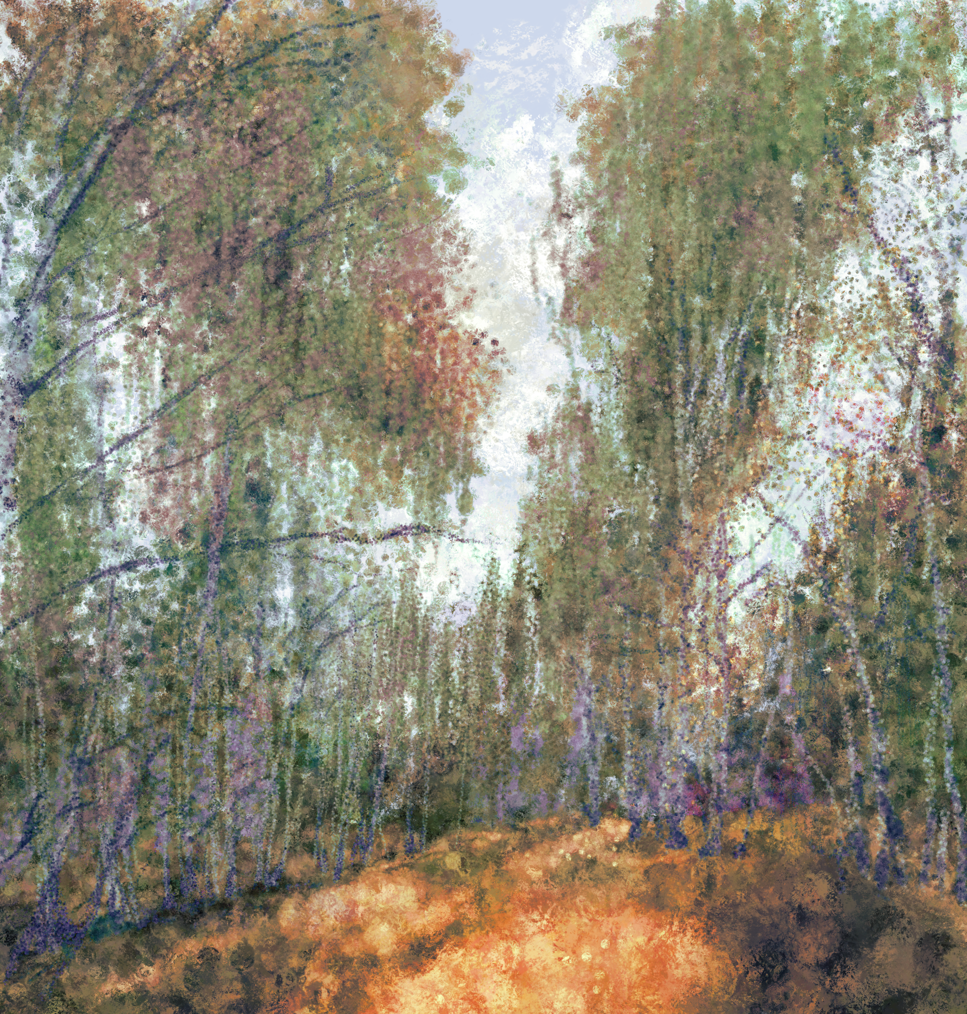 birch forest scene